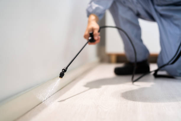 Licensed Ant Control service in South Monroe, MI - Show Me Pest Control