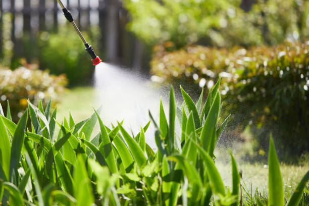 24/7 Emergency Ant Control experts in South Monroe, MI
