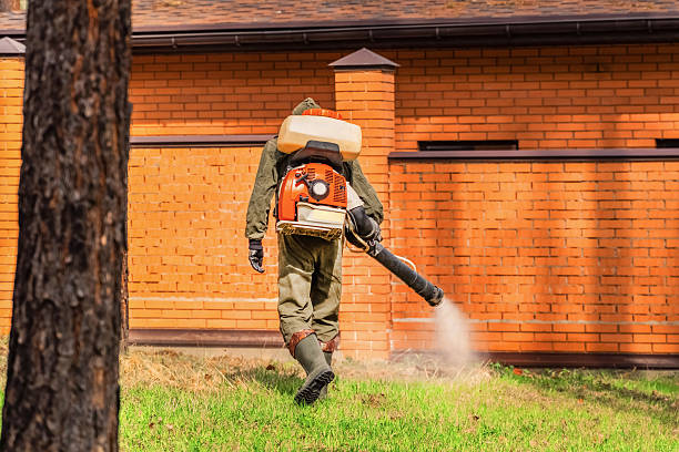 Top rated local Ant Control specialists in South Monroe, MI
